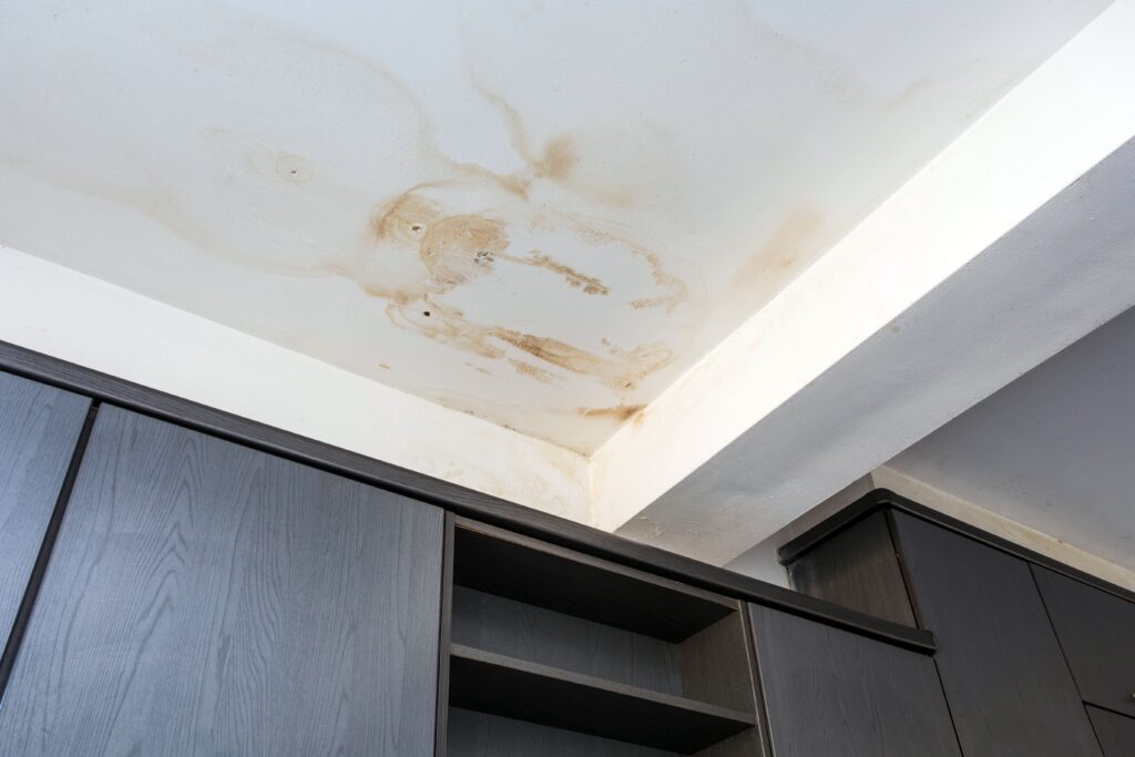 Water damage on the ceilings